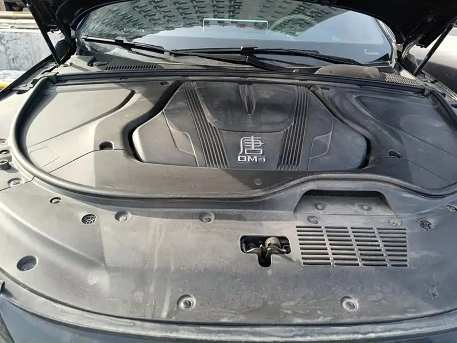 BYD Tang New Energy 2025 DM-i 115KM Flagship фото 10