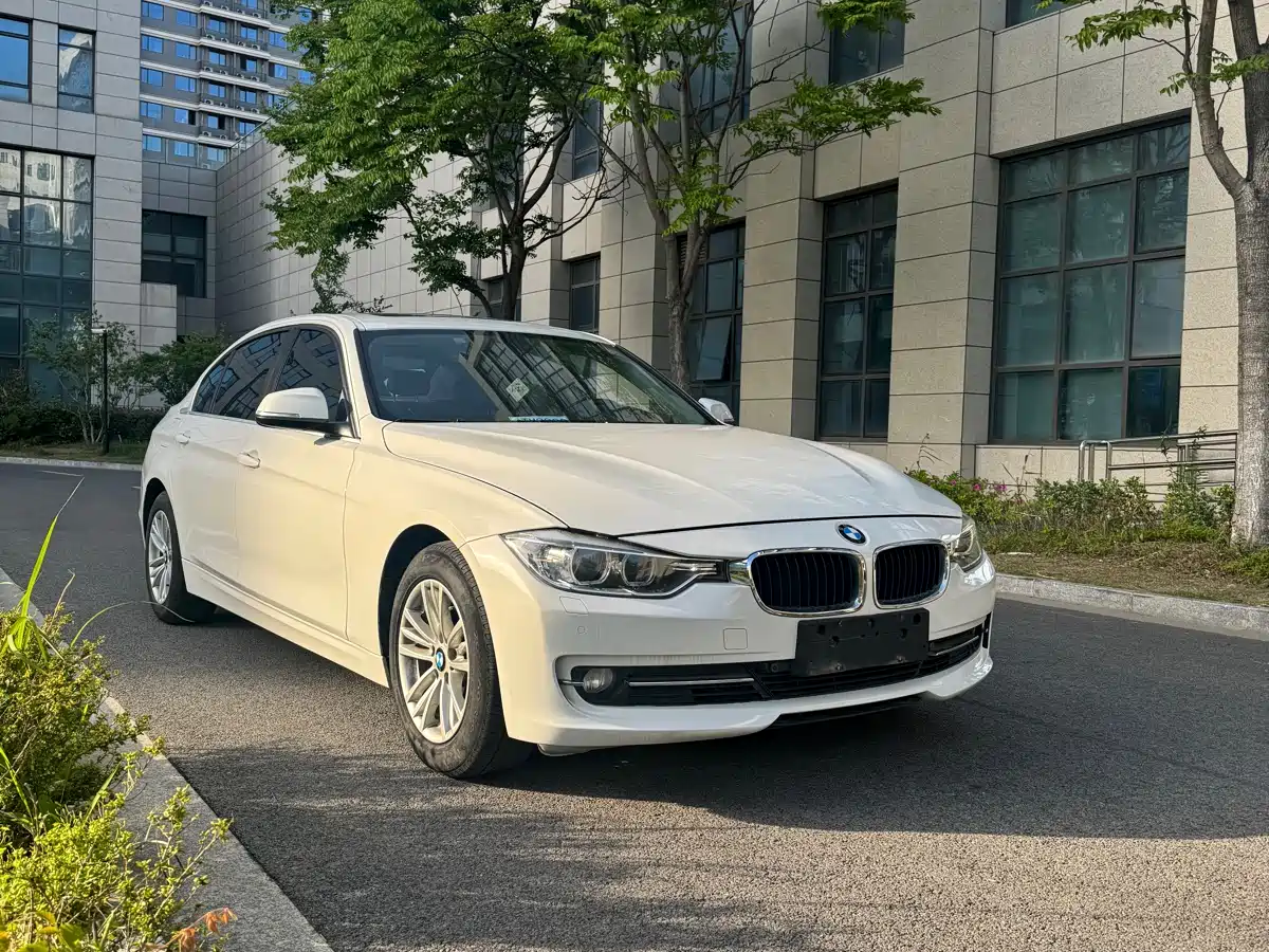 BMW 3 Series 2016 316Li Fashion фото 3