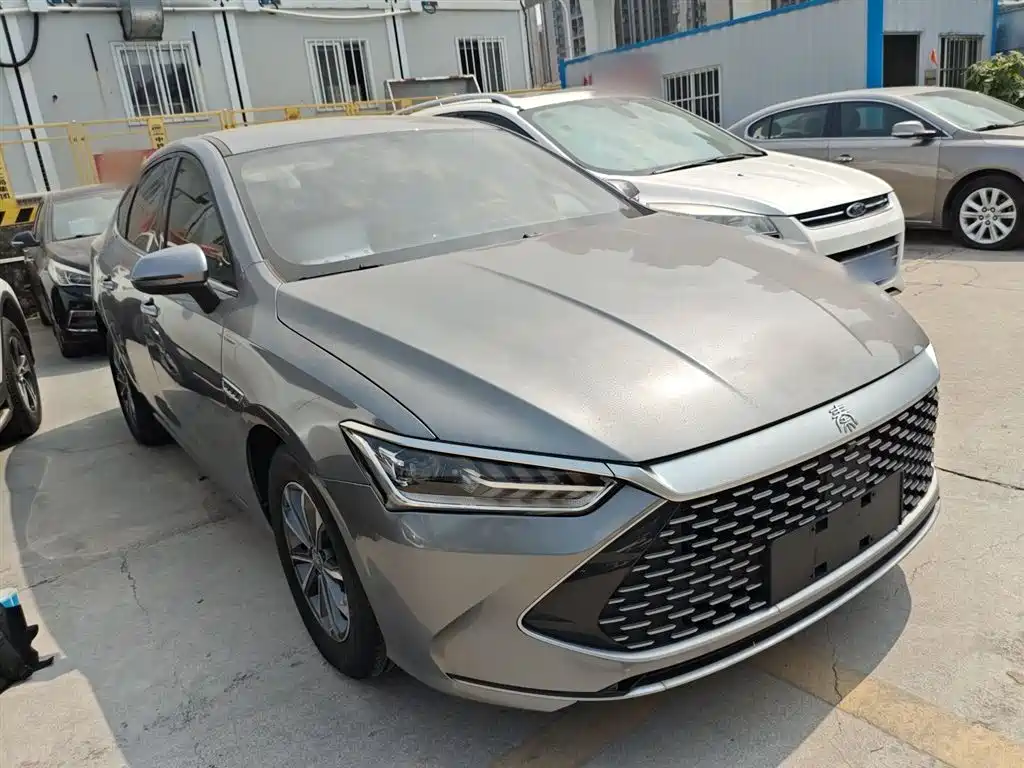 BYD Qin PLUS 2024 Glory Edition DM-i 55KM Leading фото 22