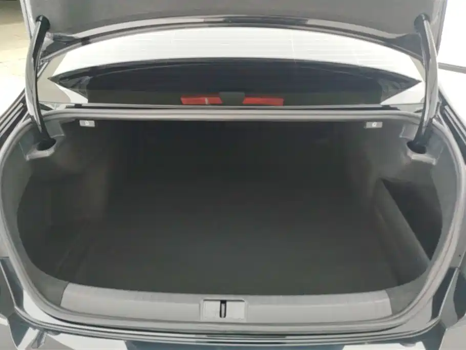 Volkswagen Magotan 2023 Model 2 Million Units Commemorative Edition 280TSI DSG Leading Version фото 4