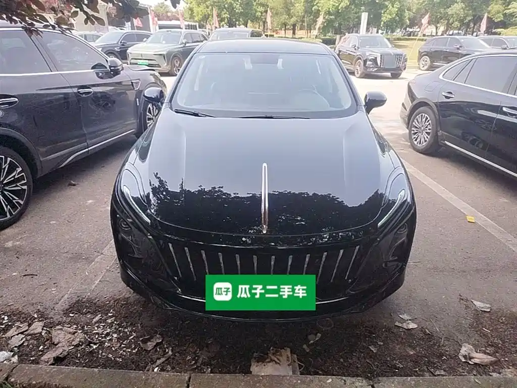 Hongqi E-QM5 2023 Facelift Basic Travel Edition фото 3