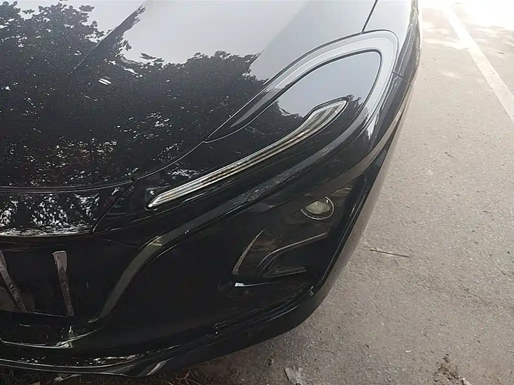 Hongqi E-QM5 2023 Facelift Basic Travel Edition фото 24