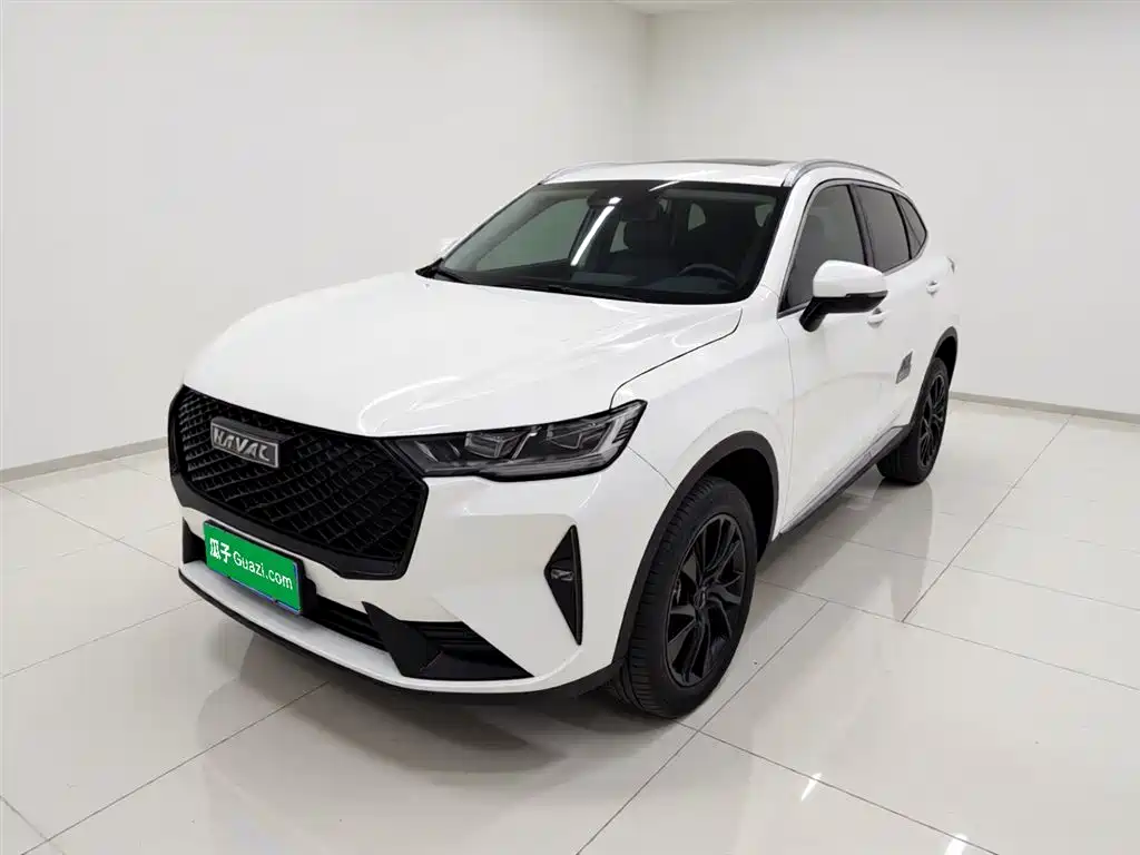 Haval H6 2021 3rd Generation 2.0T Auto 2WD Max фото 2