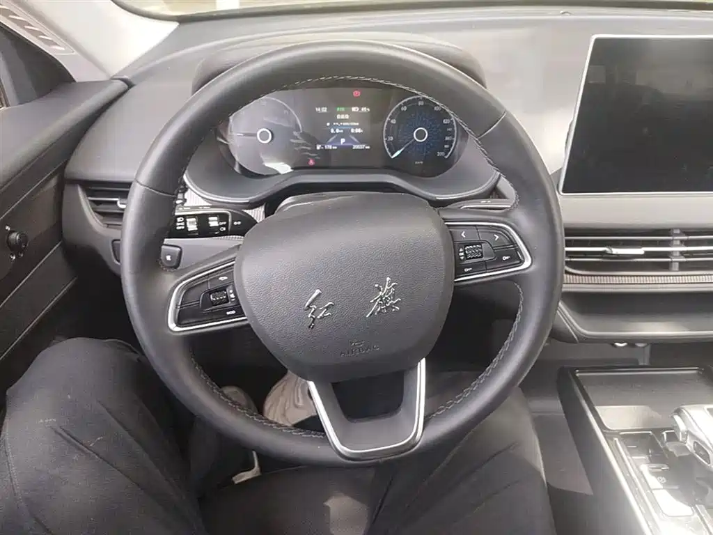 Hongqi E-QM5 2023 Facelift Basic Travel Edition фото 11