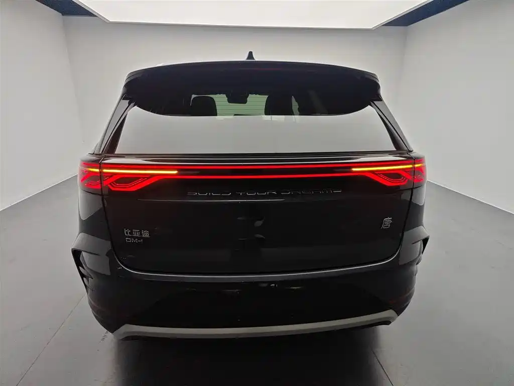 BYD Tang New Energy 2025 DM-i 115KM Cloud Chariot Flagship фото 6