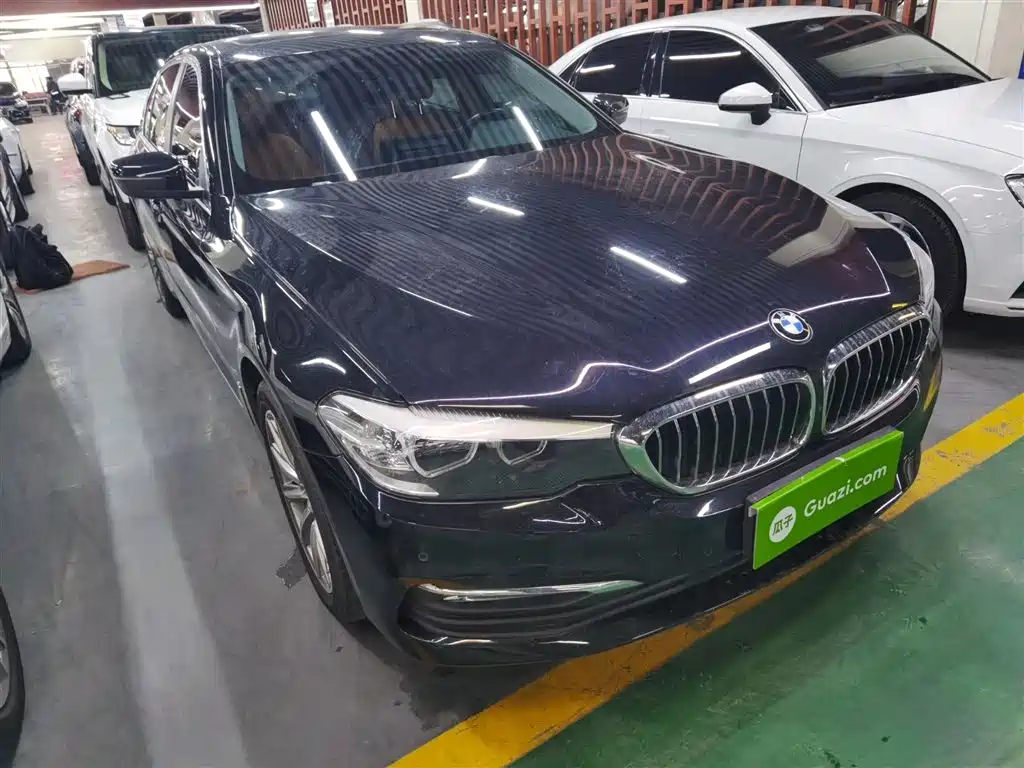 BMW 5 Series 2018 528Li Launch Special Edition фото 22