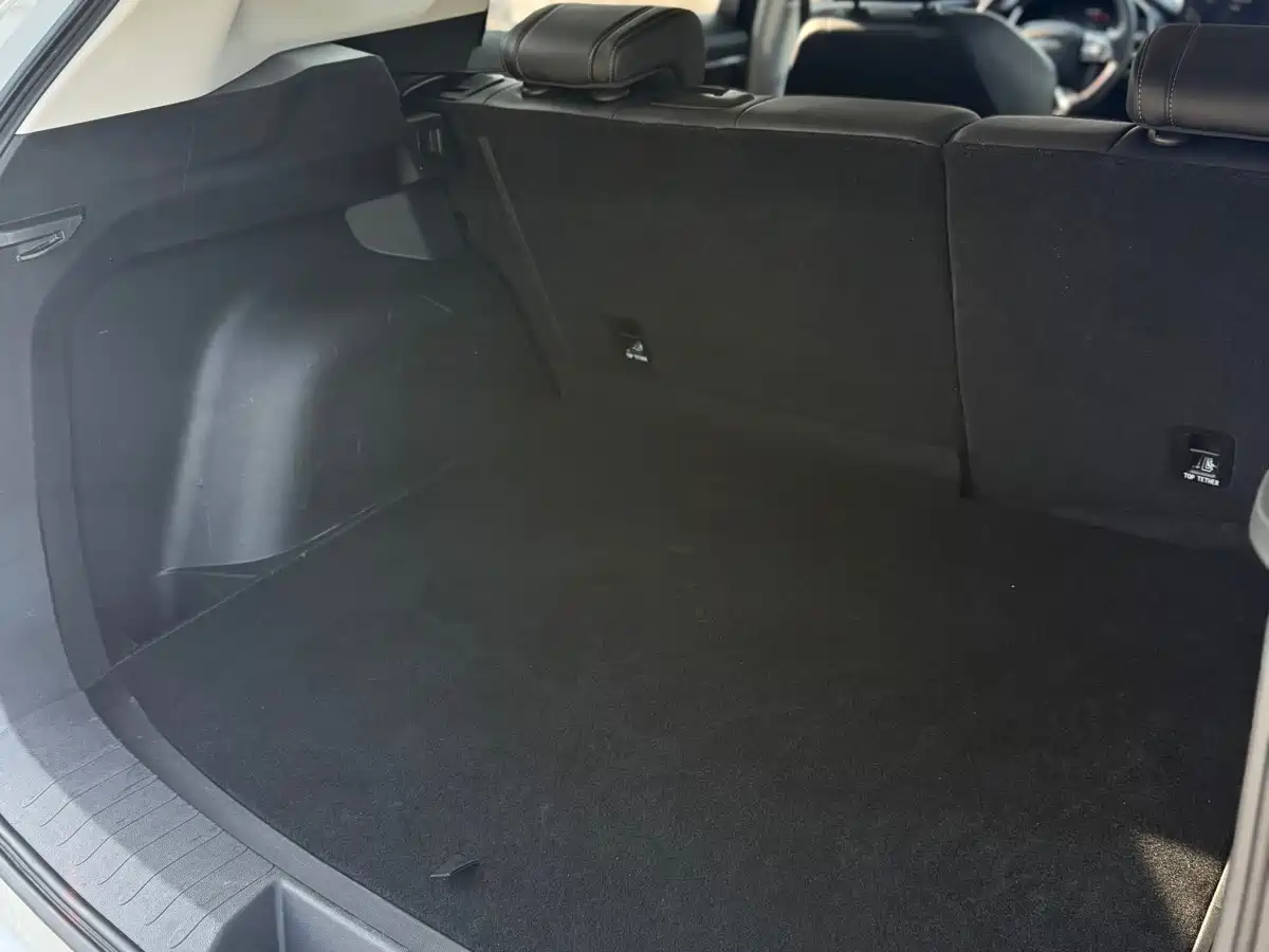 Haval H6 2023 National Trend Edition 1.5T Automatic Urban фото 11