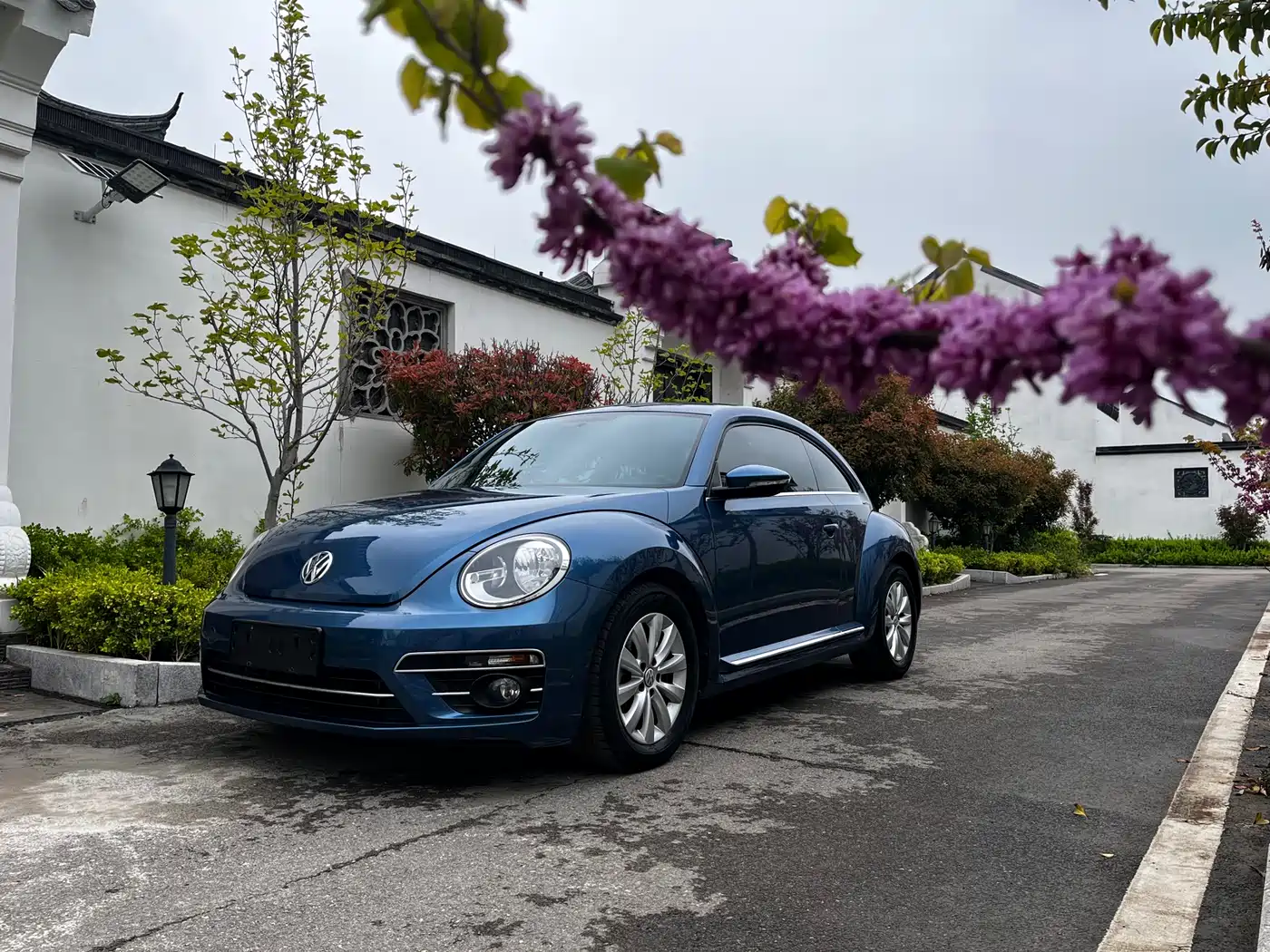 Volkswagen Beetle 2019 2018 180TSI Easy Joy Edition