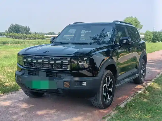  Jetour Shanhai Jetour Shanhai T1 2025 150km Towards Lake