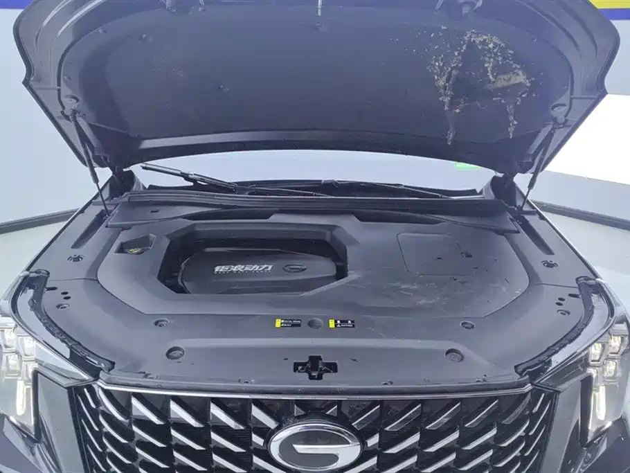 GAC Trumpchi Trumpchi GS8 2022 Pilot Series 2.0TGDI 2WD Premium Edition (7-Seater) фото 10