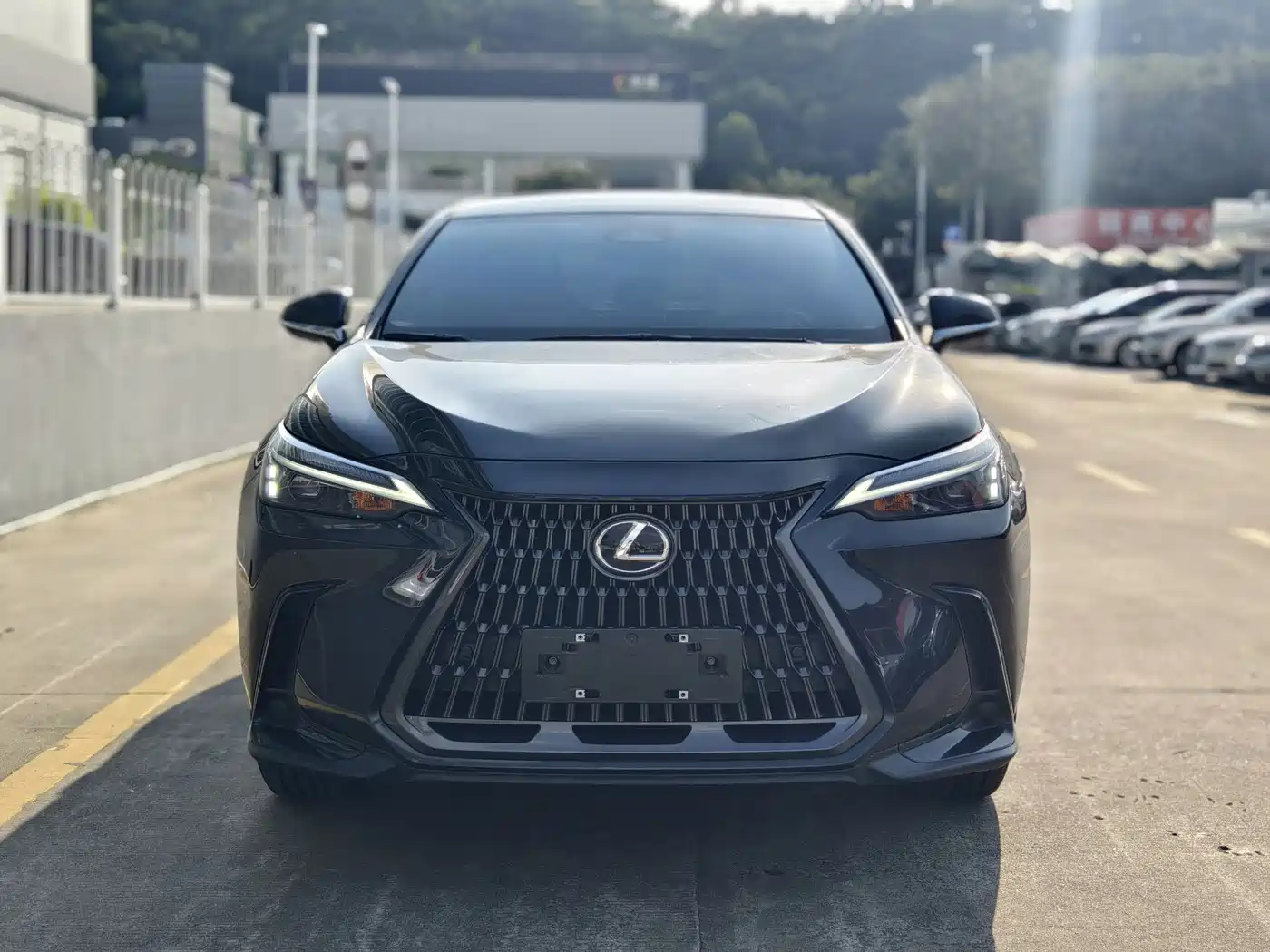 Lexus NX 2024 260 FWD Innovation Edition фото 2