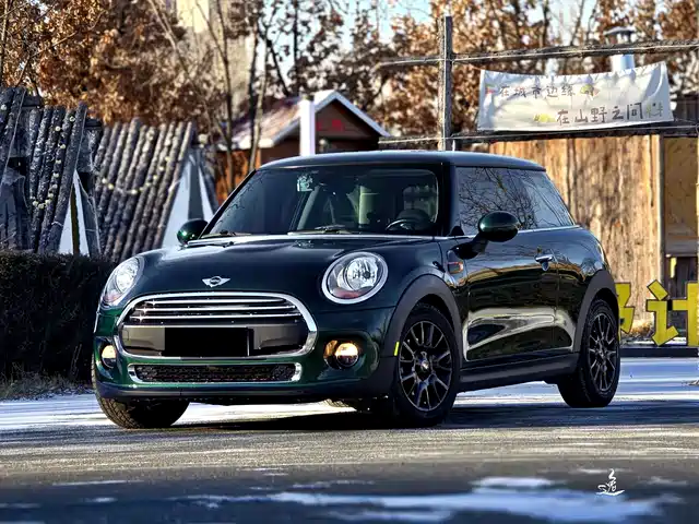 mini 