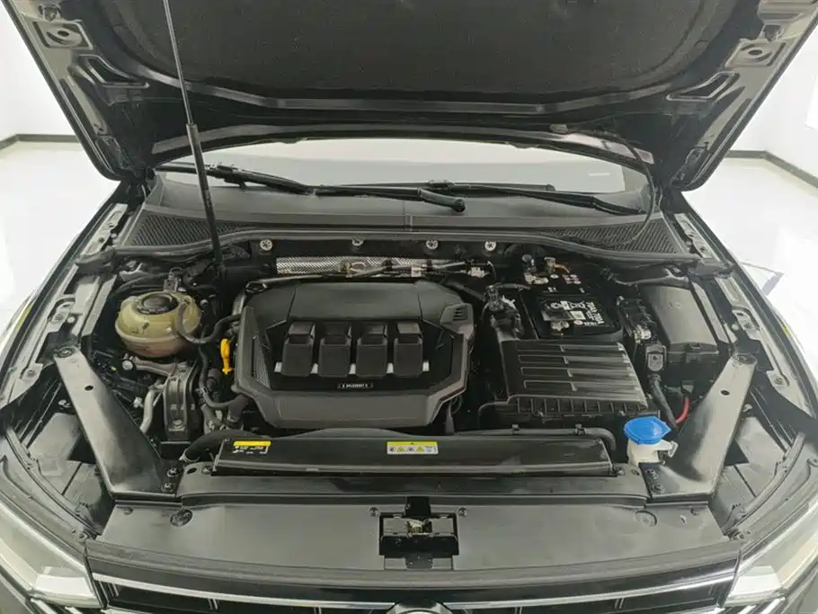 Volkswagen Magotan 2020 330TSI DSG Luxury фото 10