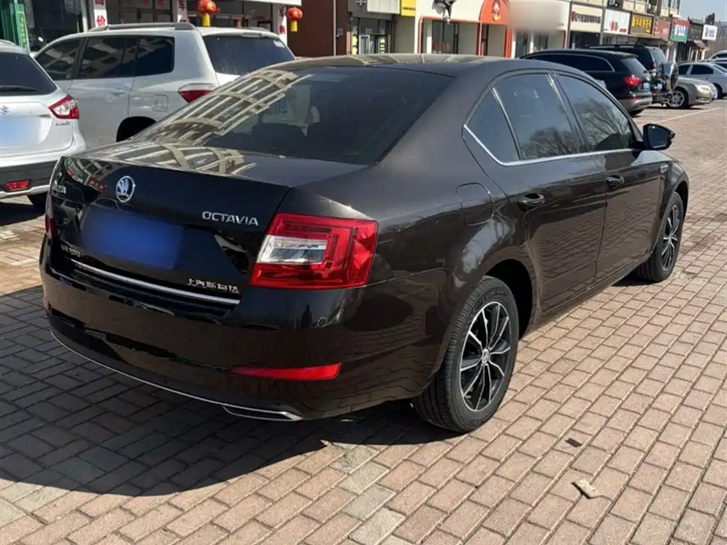 Škoda Octavia 2017 TSI280 DSG ZhiXing фото 7