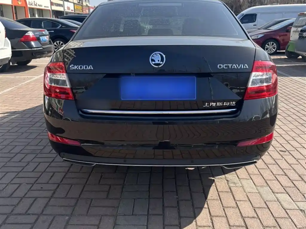 Škoda Octavia 2017 TSI280 DSG ZhiXing фото 9