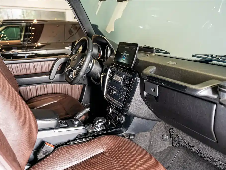 Mercedes-Benz G-Class 2017 G 500 фото 9