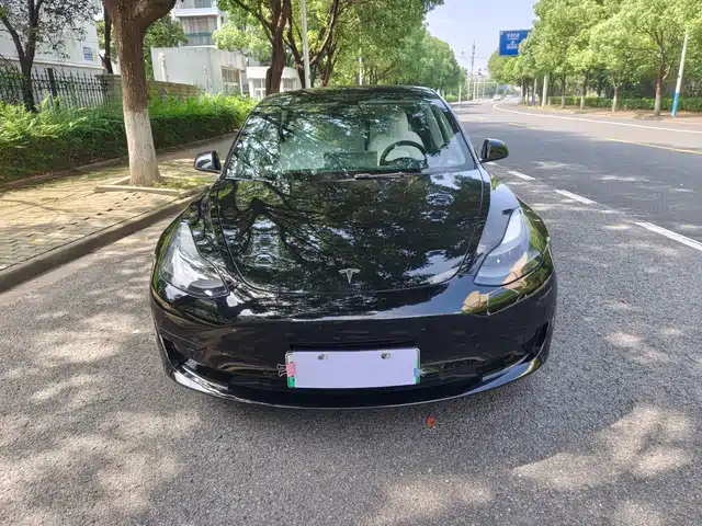Tesla Model 3 2022 Model Rear-Wheel Drive Version