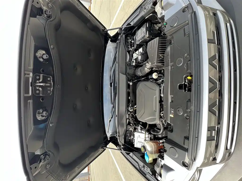 Haval Big Dog 2024 1.5T DCT Border Collie Edition фото 19