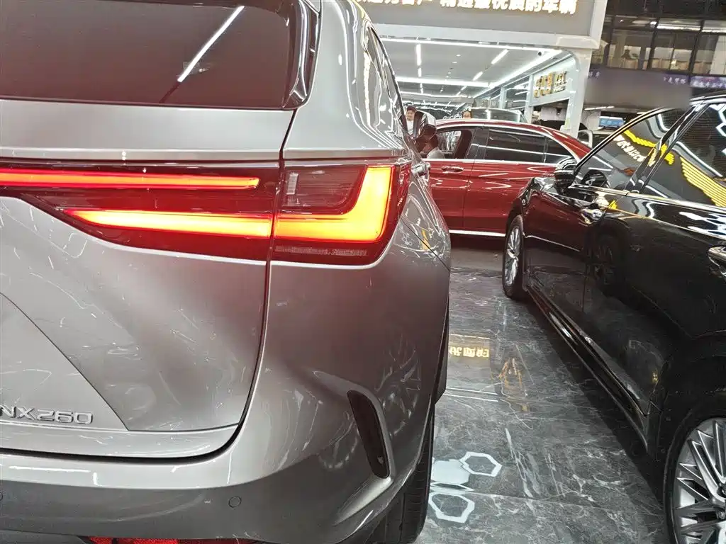 LEXUS NX