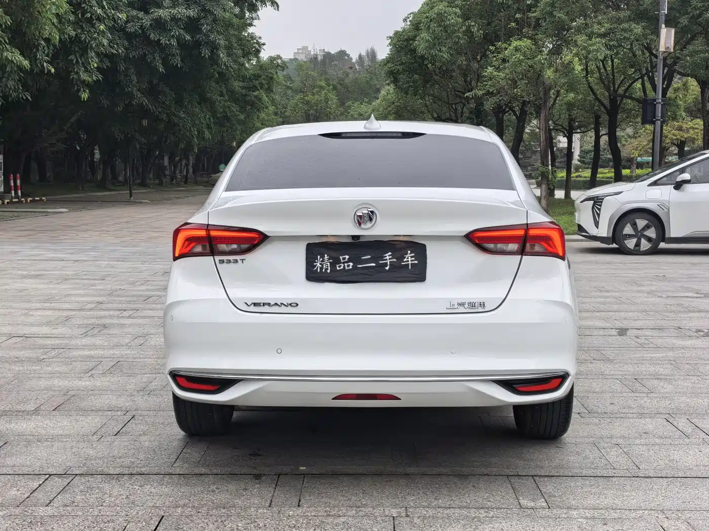 BUICK WEILANG