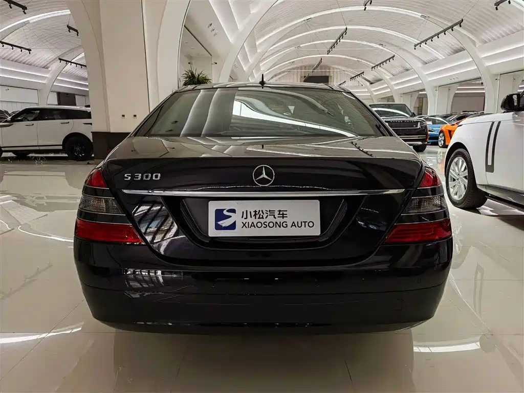 Mercedes-Benz S-Class 2008 S 300 L Business фото 3