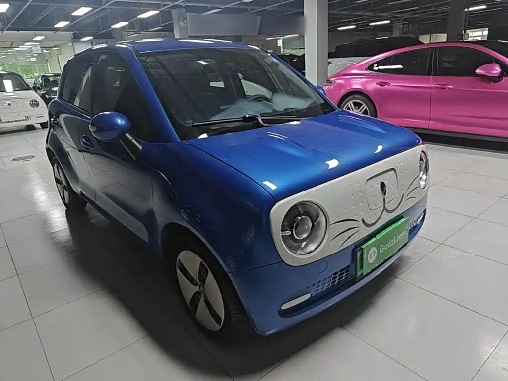 Ora Black Cat 2019 2019 Model 351km Smart Fun Edition