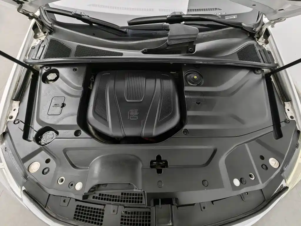 Фото 6 - BYD Tang New Energy