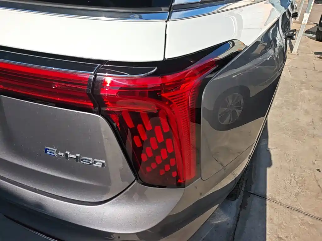 Hongqi E-HS9 2023 2022 660km Qi Ling Edition (4-seater)
