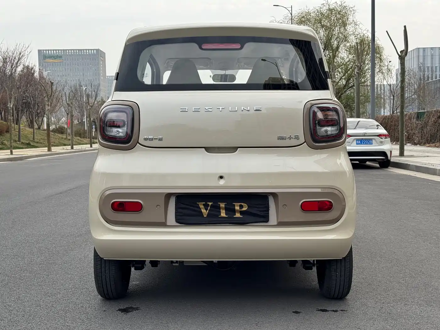 BESTUNE PENTIUM PONY