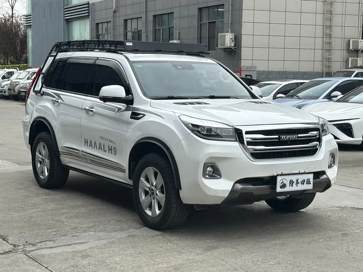 HAVAL H9