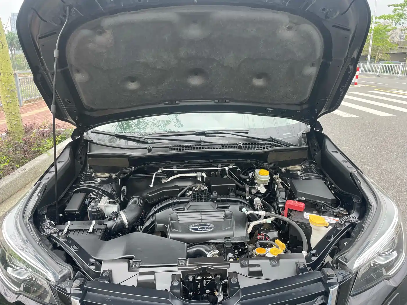 Subaru Forester 2019 2.0i Luxury Edition EyeSight фото 26