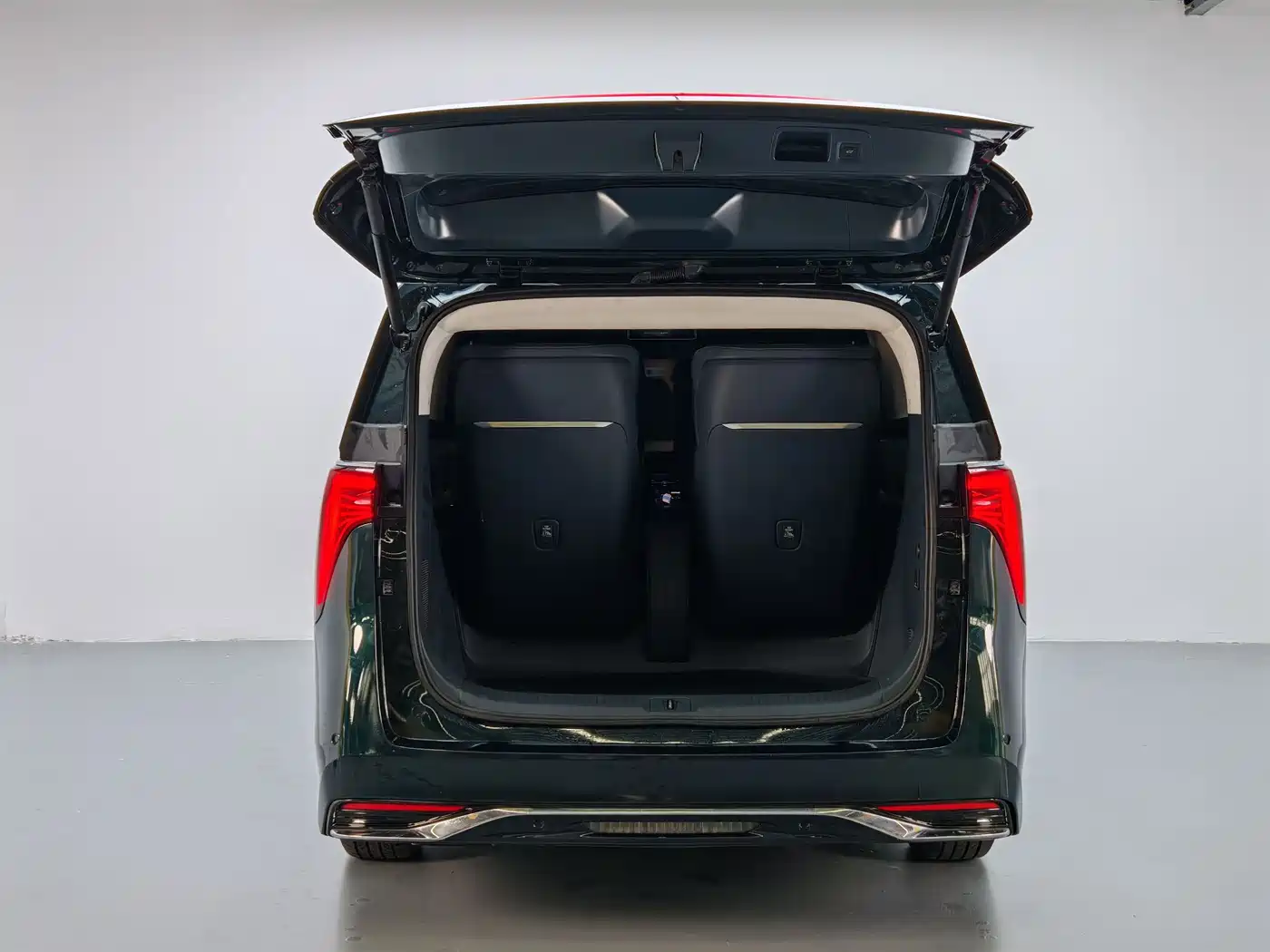 Buick Century 2023 2.0T 4-Seat Private Edition фото 15