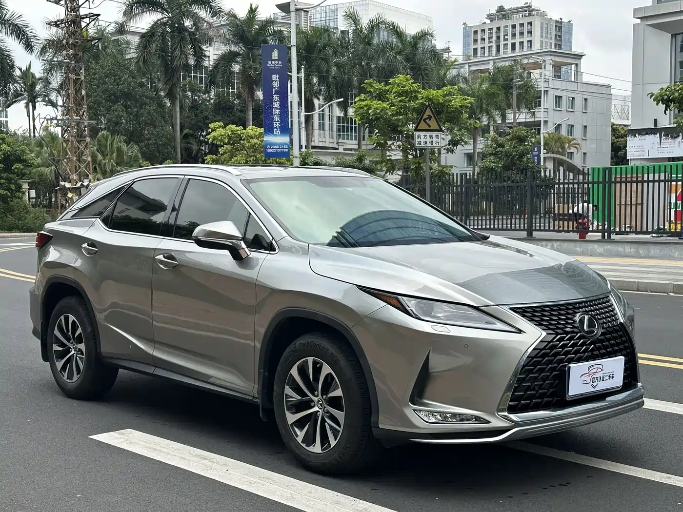 LEXUS RX