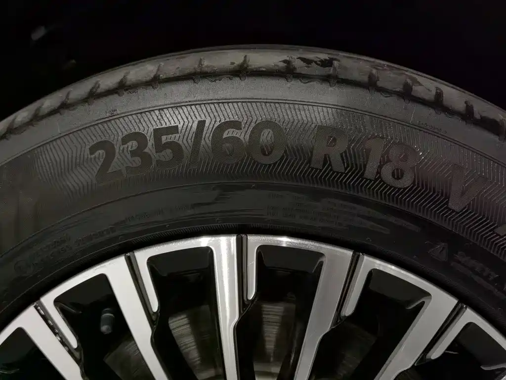 Denza D9 2025 2024 DM-i 1050 Premium