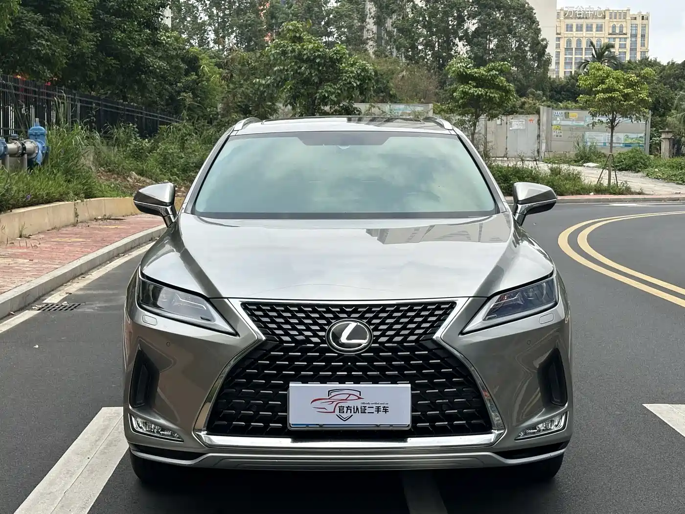 LEXUS RX