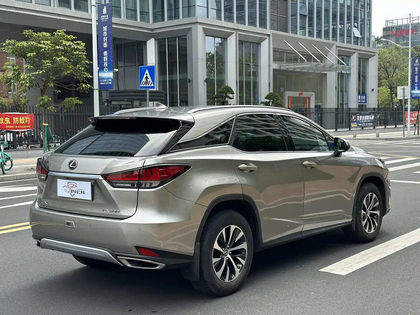 LEXUS RX