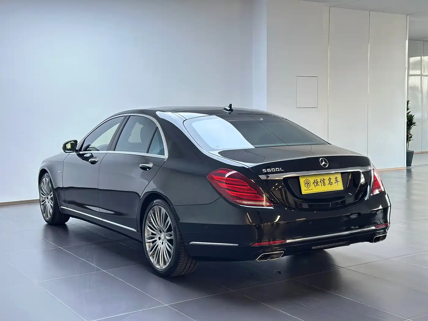 Mercedes-Benz S-Class 2014 S 600 L фото 5