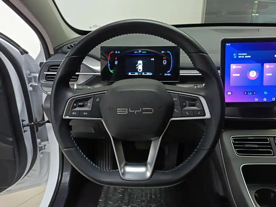 BYD Destroyer 05 2024 2023 Champion Edition DM-i 55KM Luxury