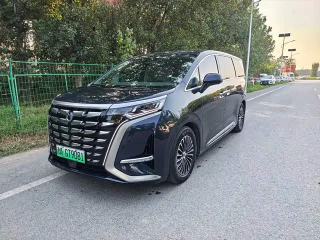 Denza D9 DM-i 970, Полный привод Флагман