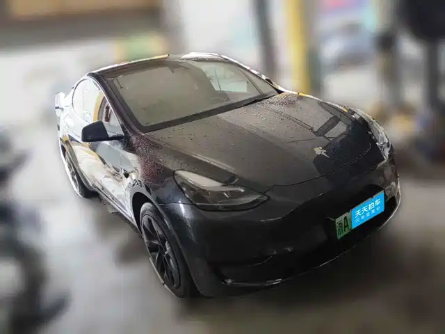 Tesla Model Y 2024 Rear-Wheel Drive Version — фото 3