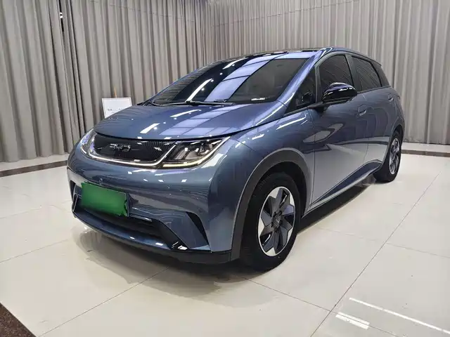 BYD Dolphin Слава, 420km, Стиль
