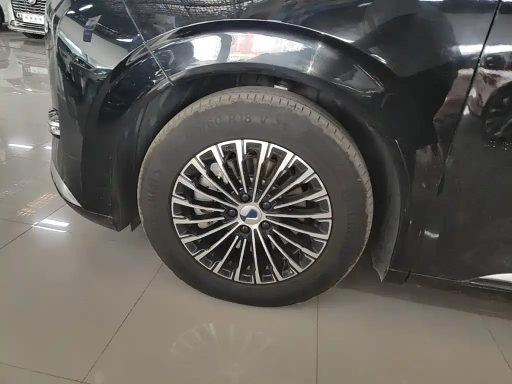 Denza D9 2023 2022 DM-i 970 All-Wheel Drive Honor Edition