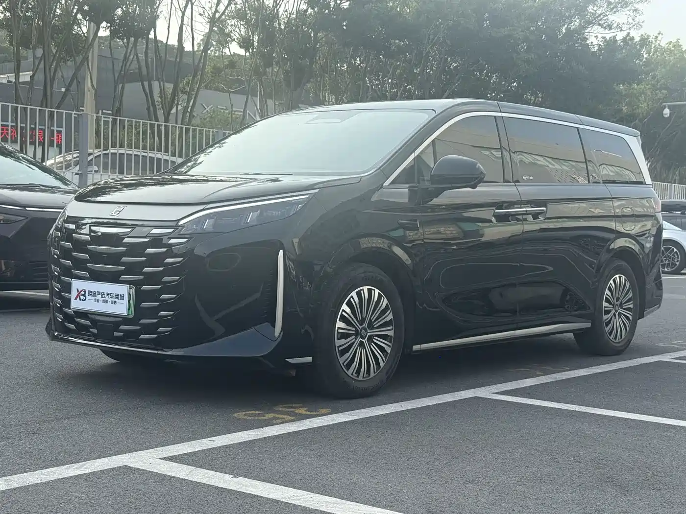 BYD Xia 2025 2025 DM-i 1.5T 100km Surpass Edition