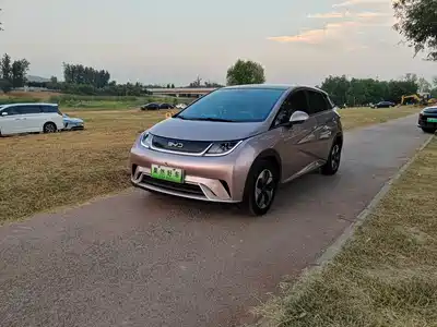 BYD Dolphin