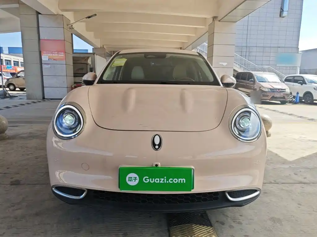 Ora Good Cat 2024 2023 401km Standard Range Luxury LFP