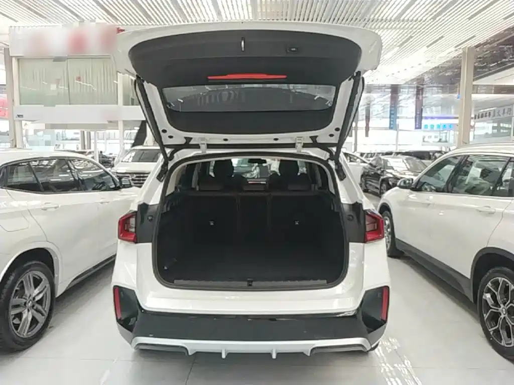 BMW X1 2024 2023 sDrive25Li M Sport Package
