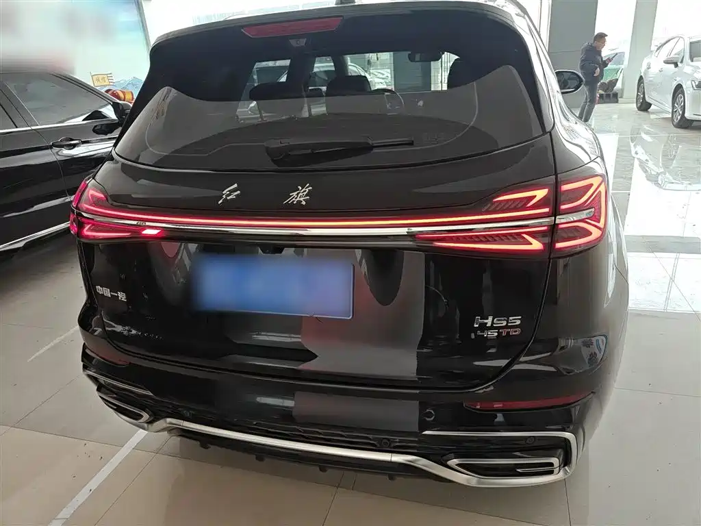 Hongqi HS5 2023 2.0T Flag Enjoy Pro Edition фото 6