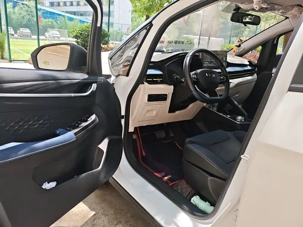 Geely Geometry EX3 Kung Fu Bull 2022 2021 Kung Fu Niu Niu