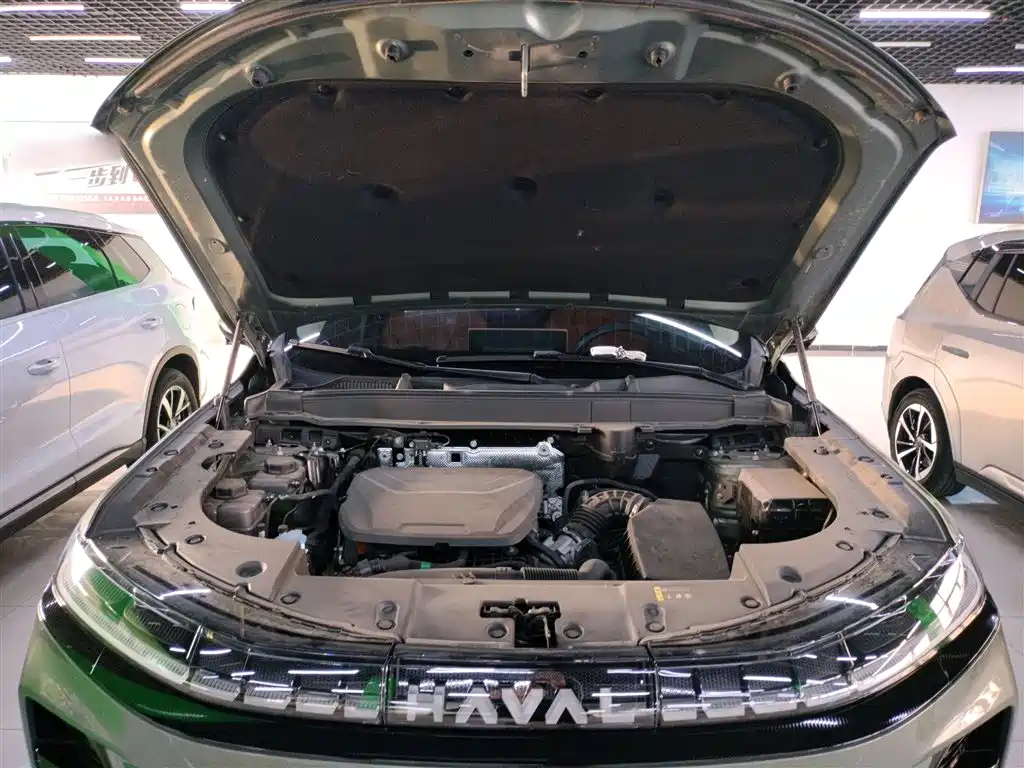 Haval Xiaolong MAX 2025 Hi4 165 Plus Long Range фото 20