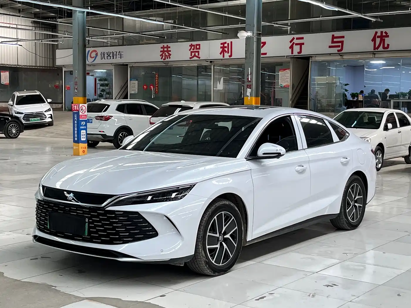 BYD QIN L
